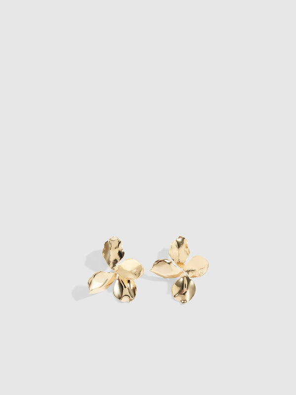 Dakota - Firework Burst Statement Earrings