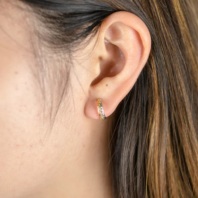 Alena - Gold Silver Filled Diamond Cut Sleeper Earrings